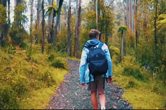 edit cinematic travel vlog, family, drone, and more
