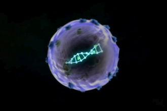 create 3d medical, moa and pharmaceutical animation