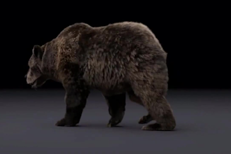 do 3d cgi animal animation 3d animal model 3d animal rigging creature pet, dog