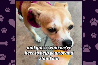 create dog ugc video ads for your pet products or services