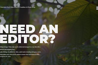 do professional showreels video editing