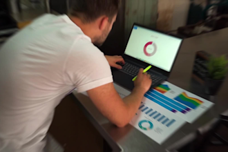 be your facebook ads campaign manager and run your fb ads
