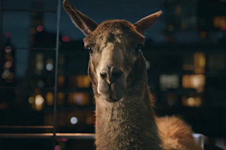 integrate realistic cgi animal design, 3d rigging, xgen fur, 3d animal animation