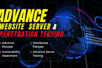 provide expert web application penetration testing services