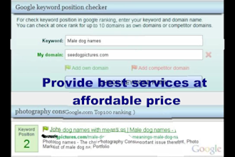 build a over 500 high pr backlinks pyramid