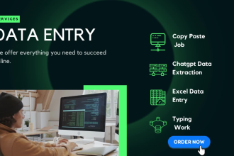 be your personal virtual assistant, excel data entry, copy paste, admin support