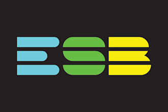 design professional minimalist logo for your comapny