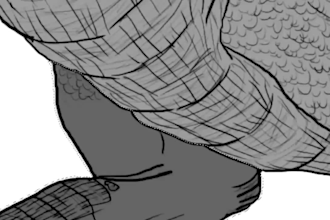 draw amazing dragons and fantasy creatures