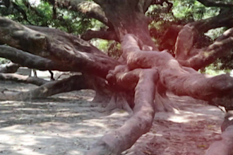 do historical place videography for professional use