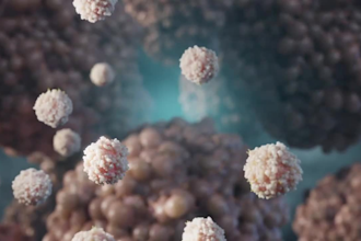 do professional 3d medical animation video, explainer video, anatomy, surgery