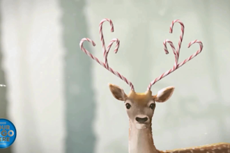 customize animated christmas short greetings