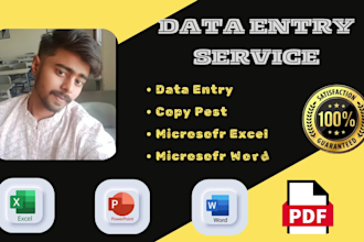 do data entry, excel work, power point presentation