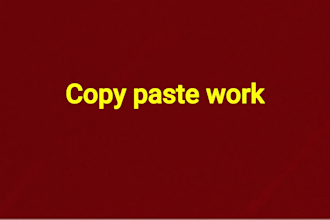 do excel data entry, copy paste, typing, web research
