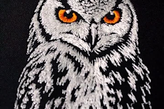 do embroidery digitizing, logo and image in dst, jef, pes, exp in 1 hour
