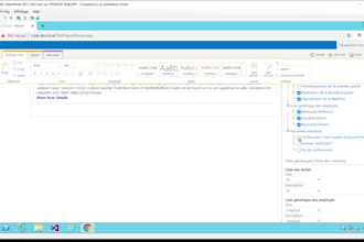 do sharepoint online, on premise solutions