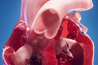do 3d medical animation 3d surgery animation 3d anatomy animation medical video