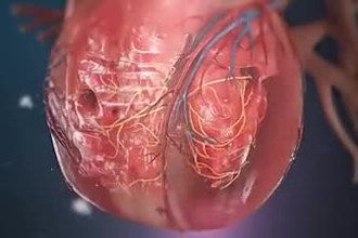 do 3d custom medical model, surgical and dental animation, healthcare explainer