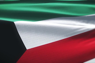 create realistic flag loopable animation for you in an hour