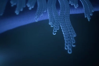 design, frame 3d industrial footwear, shoe, sneaker animation
