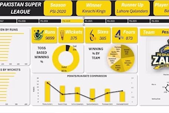 help with interactive excel visuals, dashboard and automation