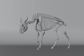 do 3d animal animation, 3d animal model, 3d fur 3d xgen zbrush