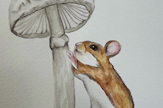 paint hand painted realistic watercolor paintings of birds and animals