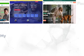 our agency will develop a website using angular, react, and laravel