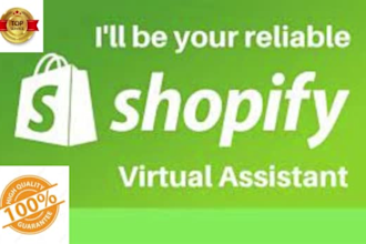 your shopify virtual assistant 1 month, product listing