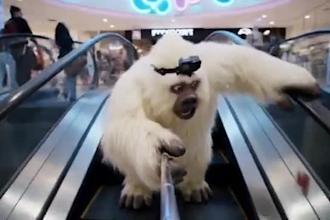 deliver an ai yeti voiceover vlog about the forgotten natural world