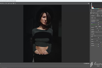 do bulk photo editing, face retouching, photo color grading