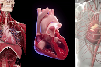do high quality 3d medical animation video and modeling