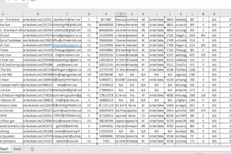 provide accurate data entry, web research, and lead generation services