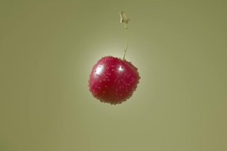 do cgi 3d can commercial for 3d beverages 3d soda animation 3d drink animation