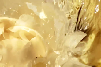 do 3d perfume animation 3d cgi vfx product visualization 3d bottle model 3d ads
