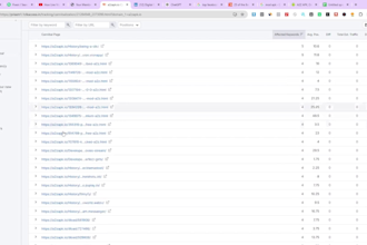 fix keyword cannibalization and the wordpress technical SEO issue