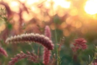 create relaxing meditation sleeping music videos for youtube