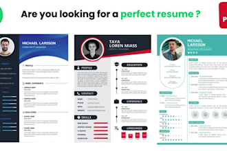 provide ats professional resume writing service,tech cv maker for remote jobs