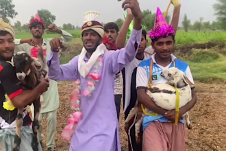 do african happy birthday video or happy birthday video