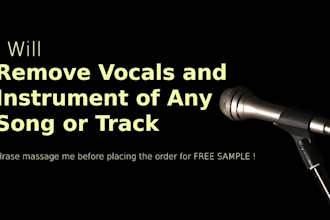 remove vocals from any song or track in less than 24 hours
