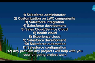 do your salesforce flows apex programing lwc and custom development