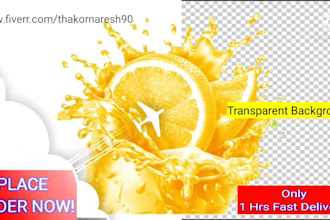 do photoshop work,transparent logo,web icon,image,cut out background 1hrs