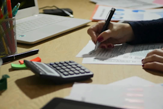 e file UK canada eu USA individual and llc business tax returns under CPA 1040