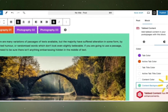 create screencast video tutorials on wordpress plugins and themes