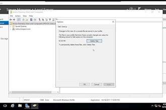 provide support windows server administration active directory dhcp dns
