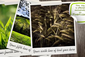 create a perfect slideshow with your photos or clips