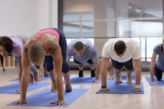 give you 250 yoga videos high quality