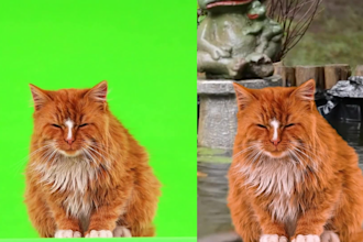 premium green screen video keying service