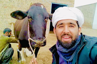 do funny happy birthday video while milking cow