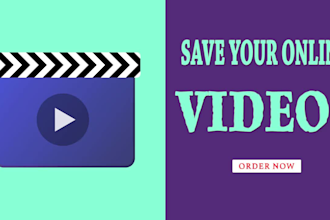 save your online videos  for offline use