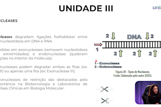 edit your videos in english, spanish, or portuguese br